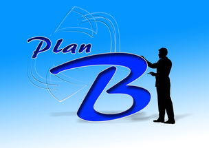 爱游戏体育平台-中国篮球职业俱乐部财务风险控制研究，篮球俱乐部企业组织结构图